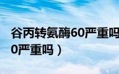 谷丙转氨酶60严重吗彩超没事（谷丙转氨酶60严重吗）