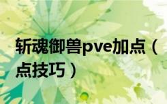 斩魂御兽pve加点（《斩魂》斩魂御兽职业加点技巧）