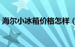 海尔小冰箱价格怎样（小冰箱还有那些品牌）