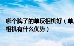 哪个牌子的单反相机好（单反数码相机哪个牌子好单反数码相机有什么优势）