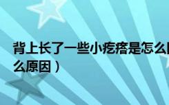 背上长了一些小疙瘩是怎么回事了（背上长了很多小疙瘩什么原因）