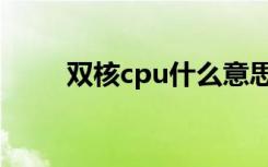 双核cpu什么意思（双核cpu补丁）