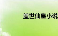 盖世仙皇小说（盖世4报价）