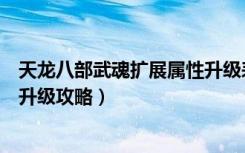 天龙八部武魂扩展属性升级表（《天龙八部》天龙八部武魂升级攻略）