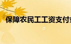 保障农民工工资支付条例全文（保障速递）