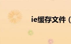 ie缓存文件（ie缓存提取）