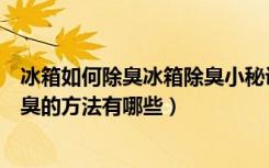 冰箱如何除臭冰箱除臭小秘诀（冰箱除臭剂怎么使用冰箱除臭的方法有哪些）