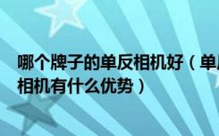 哪个牌子的单反相机好（单反数码相机哪个牌子好单反数码相机有什么优势）