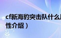 cf新海豹突击队什么属性（cf新海豹突击队属性介绍）