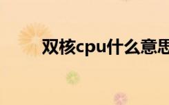 双核cpu什么意思（双核cpu补丁）