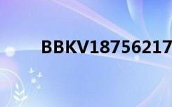 BBKV18756217011（bbkv205）