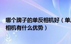 哪个牌子的单反相机好（单反数码相机哪个牌子好单反数码相机有什么优势）