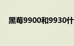 黑莓9900和9930什么区别（黑莓9810）