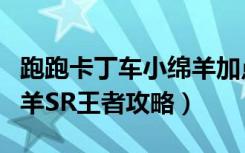 跑跑卡丁车小绵羊加点（《跑跑卡丁车》小绵羊SR王者攻略）