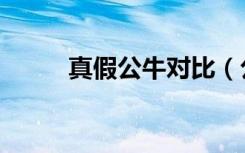 真假公牛对比（公牛电器的简介）