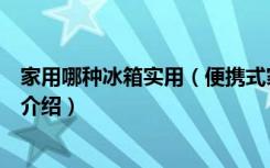 家用哪种冰箱实用（便携式家用冰箱的特点家用小冰箱用途介绍）