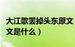 大江歌罢掉头东原文（《大江歌罢掉头东》原文是什么）