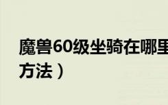 魔兽60级坐骑在哪里学（魔兽60级坐骑学习方法）