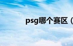 psg哪个赛区（psg所在赛区）