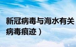 新冠病毒与海水有关（美国在海水中发现新冠病毒痕迹）