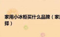 家用小冰柜买什么品牌（家用小冰柜价格家用小冰柜如何选择）