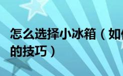 怎么选择小冰箱（如何选购小冰箱选购小冰箱的技巧）