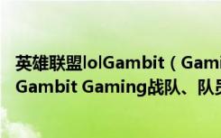 英雄联盟lolGambit（Gaming战队、队员资料 英雄联盟lolGambit Gaming战队、队员资料介绍）