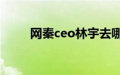 网秦ceo林宇去哪里了（网秦ceo）