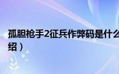 孤胆枪手2征兵作弊码是什么（孤胆枪手2征兵作弊码作用介绍）