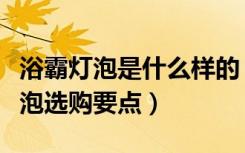 浴霸灯泡是什么样的（浴霸灯泡有几种浴霸灯泡选购要点）