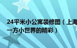 24平米小公寓装修图（上海40平方小公寓装修效果图,看这一方小世界的精彩）