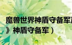 魔兽世界神盾守备军声望怎么刷（《魔兽世界》神盾守备军）