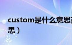 custom是什么意思英语（custom是什么意思）