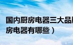 国内厨房电器三大品牌（厨房十大品牌电器厨房电器有哪些）