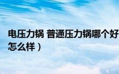 电压力锅 普通压力锅哪个好（哪款电压力锅好使用电压力锅怎么样）