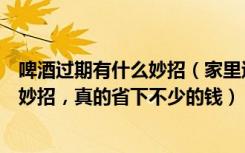 啤酒过期有什么妙招（家里过期的啤酒别着急扔，教你几个妙招，真的省下不少的钱）