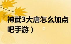 神武3大唐怎么加点（神武3大唐加点攻略 快吧手游）