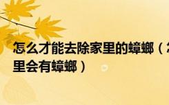 怎么才能去除家里的蟑螂（怎样才能彻底去除蟑螂为什么家里会有蟑螂）