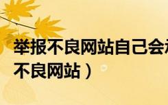 举报不良网站自己会承担什么责任（如何举报不良网站）