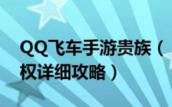 QQ飞车手游贵族（《QQ飞车》车队贵族特权详细攻略）