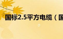 国标2.5平方电缆（国标2.5平方电线负荷）