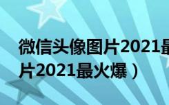 微信头像图片2021最火爆搞笑（微信头像图片2021最火爆）