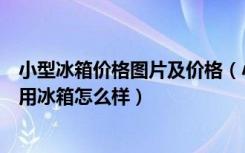 小型冰箱价格图片及价格（小型家用冰箱价格是多少小型家用冰箱怎么样）