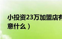 小投资23万加盟店有哪些（投资加盟需要注意什么）