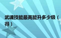 武魂技能最高能升多少级（《武魂》武魂多少级转职详解心得）