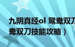 九阴真经ol 鸳鸯双刀（《九阴真经》武学鸳鸯双刀技能攻略）