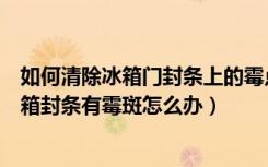 如何清除冰箱门封条上的霉点（冰箱门封条吸不住怎么办冰箱封条有霉斑怎么办）