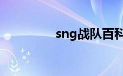 sng战队百科（sng战队）