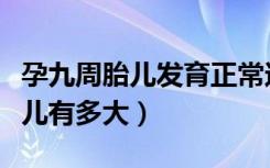 孕九周胎儿发育正常还容易胎停吗（孕九周胎儿有多大）