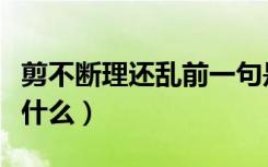 剪不断理还乱前一句是什么（理还乱前一句是什么）